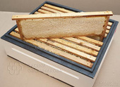 Мёд натуральный подсолнечно-разнотравный в сотах в Краснодаре